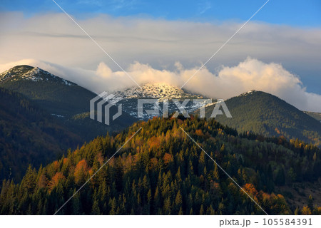 Amazing mountain landscape with colorful trees and herbs. Autumn sunny morning. Carpathian, Ukraine, Europe 105584391