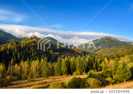 Amazing mountain landscape with colorful trees and herbs Amazing mountain landscape with colorful trees and herbs 105584406