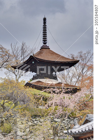 善峯寺の多宝塔 105584807