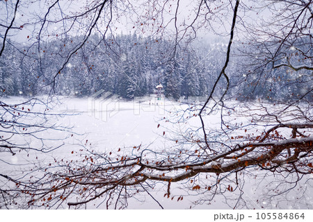 Ice covered Synevyr lake in Ukraine, gorgeous location in forested Carpathian mountains 105584864