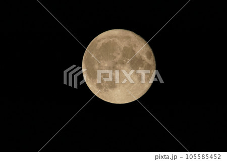 チョウザメ月 105585452