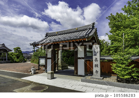 敦賀城跡 真願寺 山門 福井県敦賀市 敦賀城跡 真願寺 山門 福井県敦賀市 105586283
