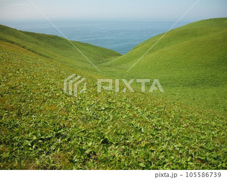 尻羽岬 1 尻羽岬 1 105586739