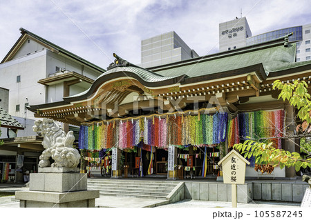 福井　佐佳枝廼社　拝殿　福井県福井市 105587245