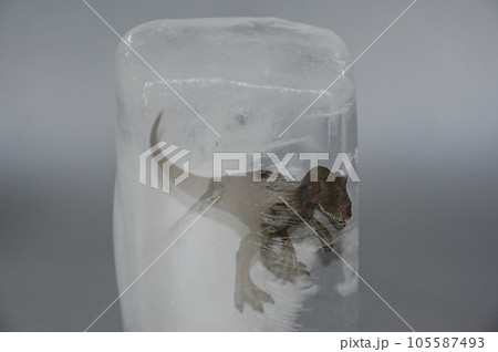 氷柱内の恐竜 氷柱内の恐竜 105587493
