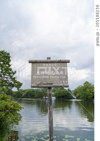 公園広場(大沼国定公園) 公園広場(大沼国定公園) 105588238