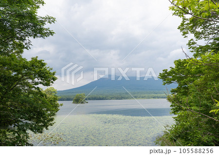 袴腰橋付近から見た駒ヶ岳（大沼国定公園） 105588256