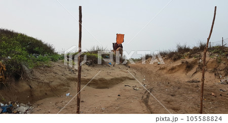 path in the forest or sandy beach beach and a camel is going on the path path in the forest or sandy beach beach and a camel is going on the path 105588824