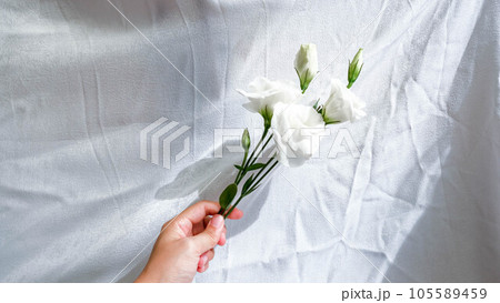 花 フラワー お花 105589459