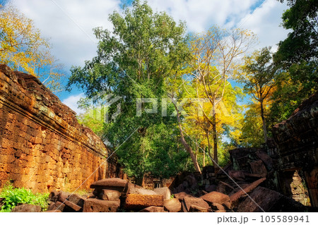 Ancient ruins of buildings in the Cambodian forest, ruins of the Khmer civilization, landscape. Ancient ruins of buildings in the Cambodian forest, ruins of the Khmer civilization, landscape. 105589941