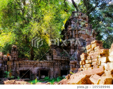 Lost amidst the Cambodian jungle Lost amidst the Cambodian jungle 105589946
