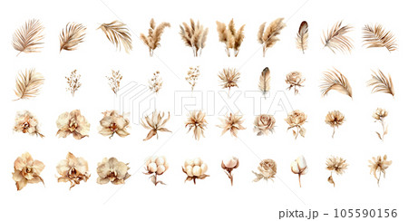 Dried pampas grass, rose, protea, orchid flowers, tropical palm leaves vector bouquets. Pastel watercolor floral template isolated collection for wedding wreath, bouquet frames, design decoration. 105590156