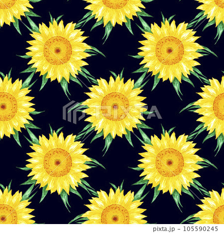 Hand drawn watercolor yellow sunflower seamless pattern isolated on black background. Can be used for Gift-wrapping, textile, fabric, wallpaper and other printed products. Hand drawn watercolor yellow sunflower seamless pattern isolated on black background. Can be used for Gift-wrapping, textile, fabric, wallpaper and other printed products. 105590245