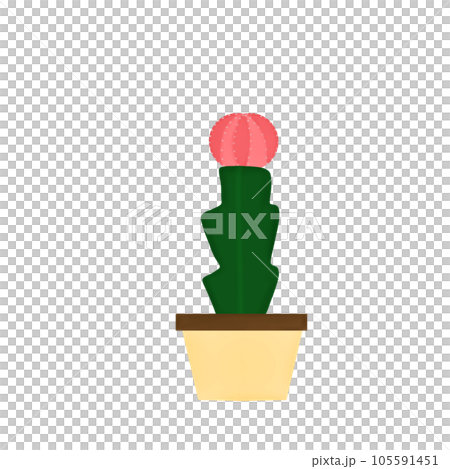 plant, pot, cactus 105591451