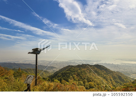 秋の六甲山天覧台から望む紅葉の森と神戸市街・大阪湾の風景 / Kobe, Japan 105592550