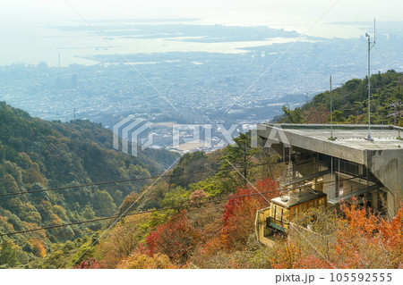秋の六甲山天覧台から望む紅葉の森と神戸市街・大阪湾の風景 / Kobe, Japan 105592555