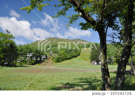 福島県　二本松市　安達太良山　高原スキー場より薬師岳を望む 105592726