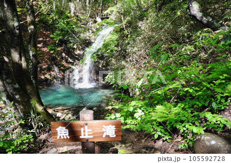 福島県 安達太良山 渓谷遊歩道 魚止滝と滝壺 福島県 安達太良山 渓谷遊歩道 魚止滝と滝壺 105592728