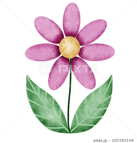 flower  105593149