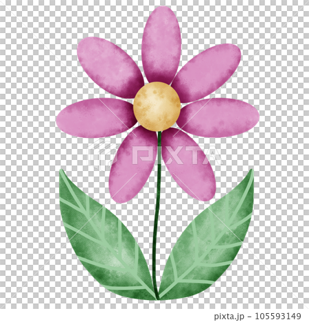 flower  105593149