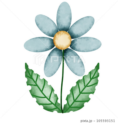 flower 2 105593151