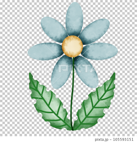 flower 2 105593151