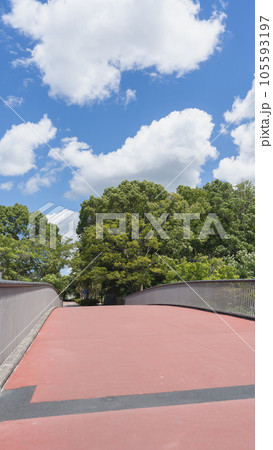 【千葉県千葉市】おゆみ野・あきのみち橋 105593197