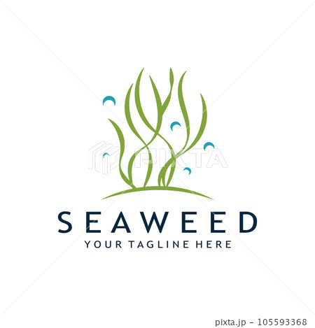 seaweed logo design with vector illustration template seaweed logo design with vector illustration template 105593368