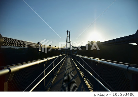 夕日に照らされる九重夢大吊橋 夕日に照らされる九重夢大吊橋 105593486