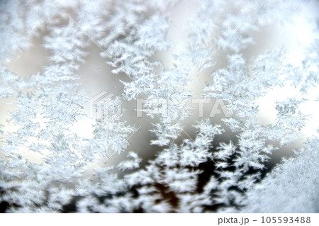 ガラス越しの雪の結晶 105593488