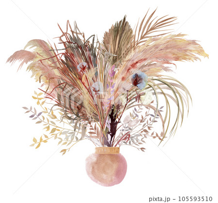 Watercolor vertical bouquet in a boho style vase with white rose flowers with pampas grass 105593510