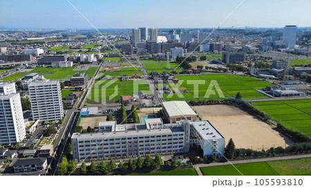 海老名の田園風景空撮・・水田が緑に覆われた 105593810