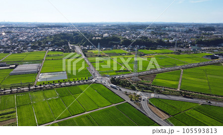 海老名の田園風景空撮・・水田が緑に覆われた 105593813