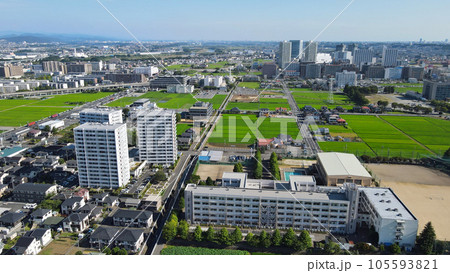 海老名の田園風景空撮・・水田が緑に覆われた 105593821