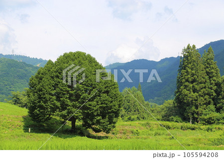 青鬼集落（重要伝統的建造物群保存地区）/ 【長野県白馬村】 105594208