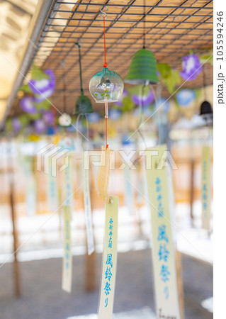 風鈴祭り 105594246