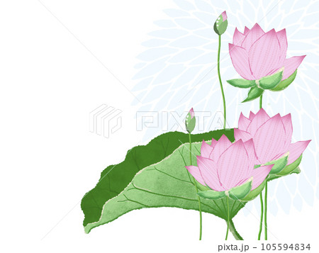 Big lotus flower on a background of mujina - Stock Illustration