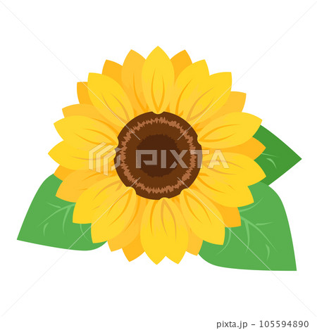 ひまわり 105594890