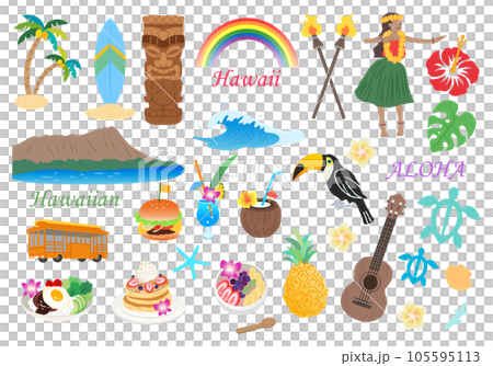 ハワイ　イラストセット 105595113