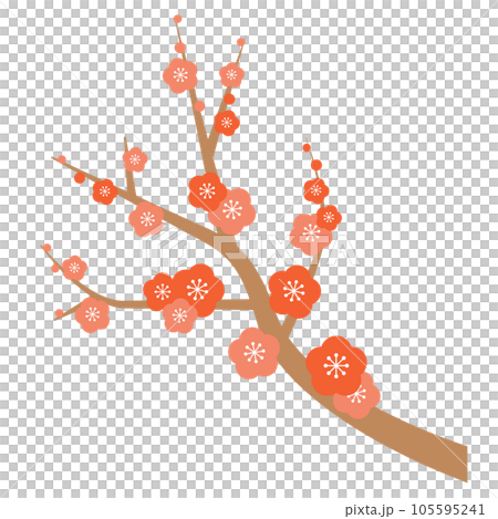 plum	 105595241
