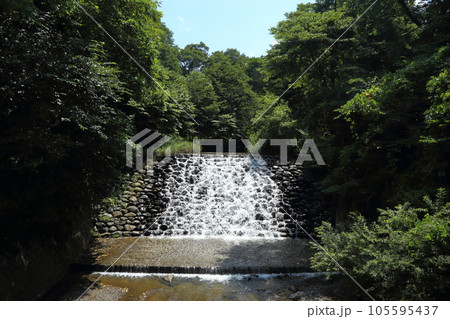 大出公園【長野県白馬村】 大出公園【長野県白馬村】 105595437
