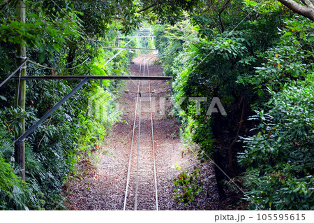 新緑と線路 105595615