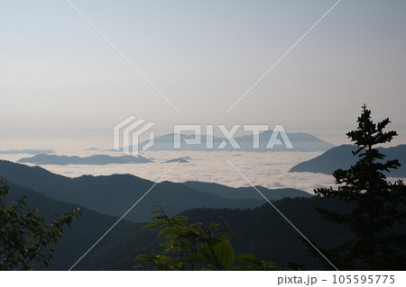 初夏の田代山湿原 105595775