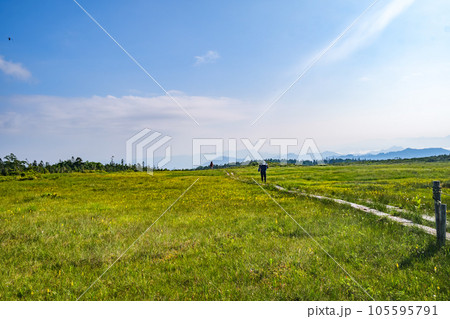 初夏の田代山湿原 初夏の田代山湿原 105595791