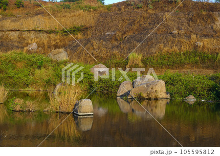 A serene pond reflects the surrounding landscape of lush grass, scattered rocks, and trees in Ranu Manduro, Mojokerto, East Java, Indonesia. A serene pond reflects the surrounding landscape of lush grass, scattered rocks, and trees in Ranu Manduro, Mojokerto, East Java, Indonesia. 105595812