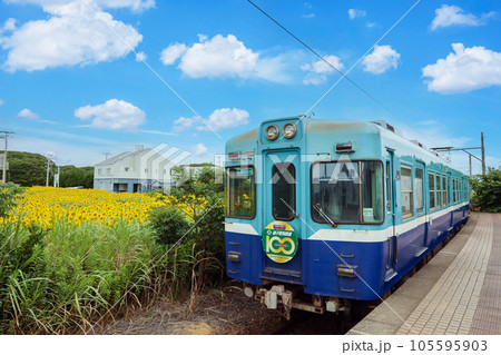 犬吠駅とひまわりと列車 105595903