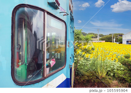 列車とひまわり 105595904