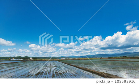 風景写真 105595916