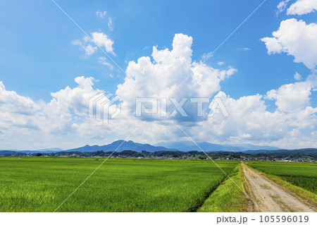 蔵王と田園風景 蔵王と田園風景 105596019