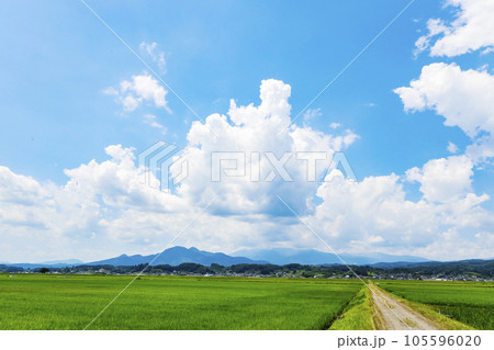 蔵王と田園風景 105596020